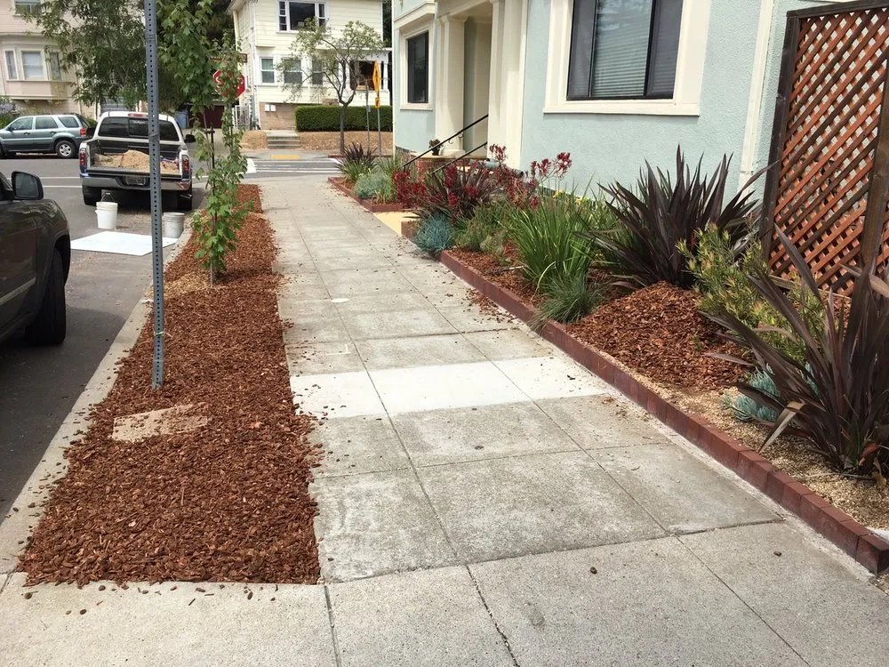Trusted landscape installation for beautiful yards across Novato, CA - A C Services & Maintenance