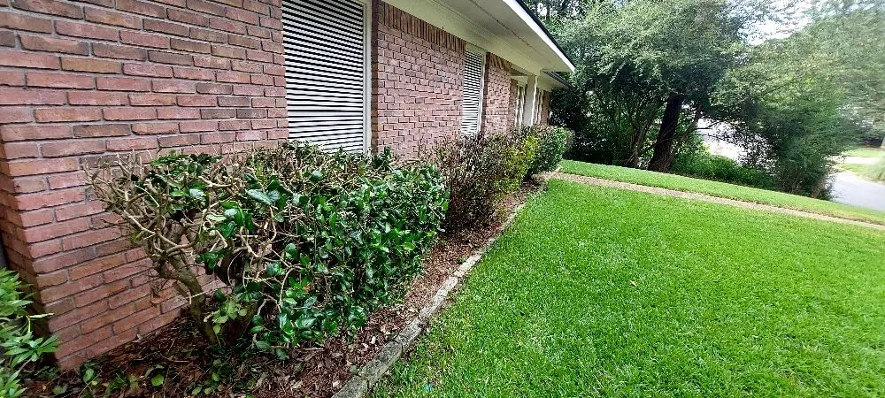 Trusted yard cleanup service experts serving Columbus, GA - A C Smith Landscaping