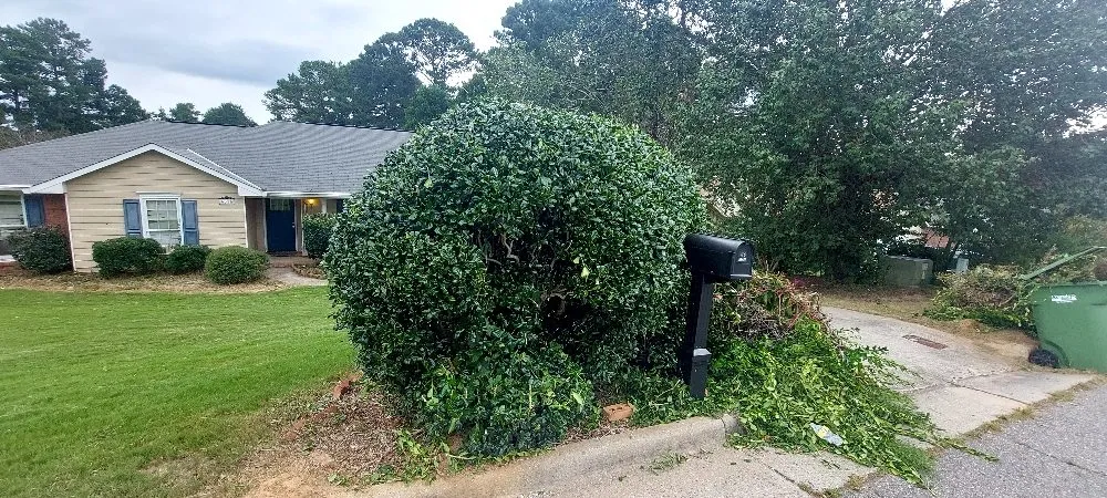 Top-rated yard cleanup service in Columbus, GA by A C Smith Landscaping