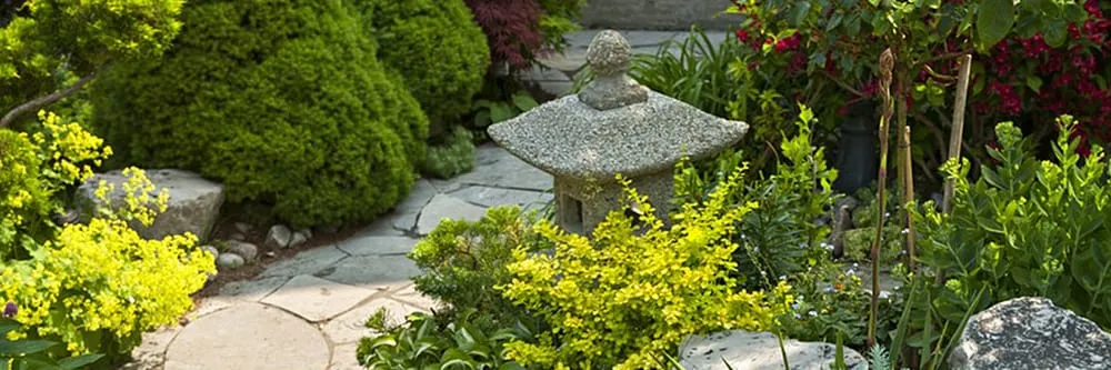 Reliable landscaping services in Beaumont, TX - A+ Cardinal Property Service
