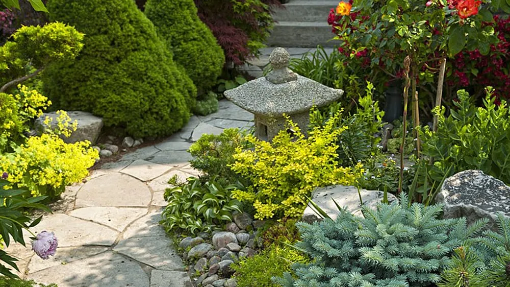 Reliable landscape design experts serving Beaumont, TX - A+ Cardinal Property Service