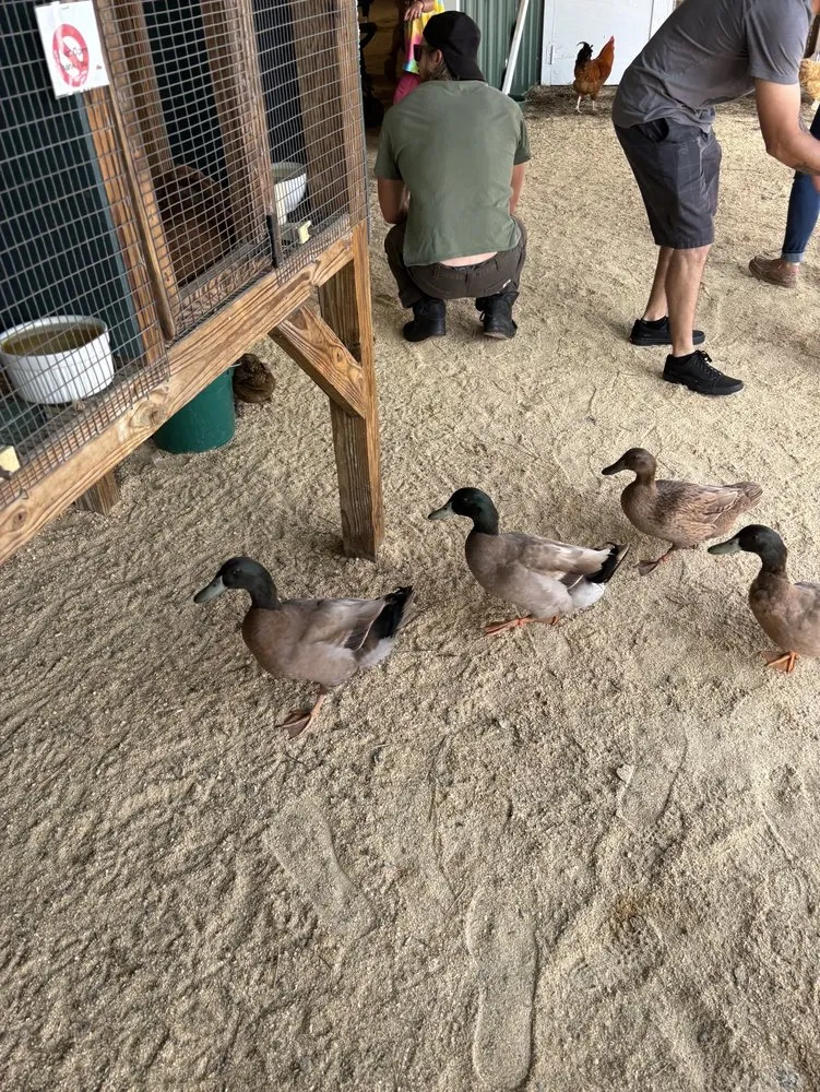 Professional garden landscaping in Holmdel, NJ by A. Casola Farms