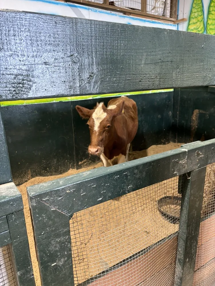 Custom yard cleanup service in Holmdel, NJ by A. Casola Farms