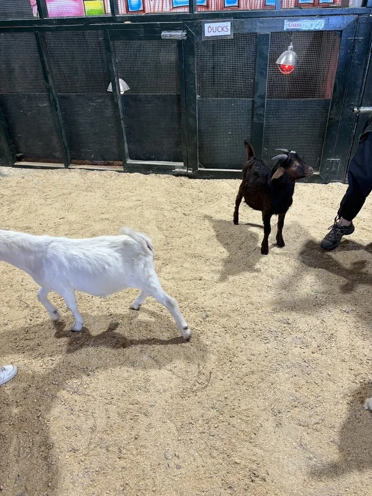 Reliable garden landscaping for residential properties across Holmdel, NJ - A. Casola Farms