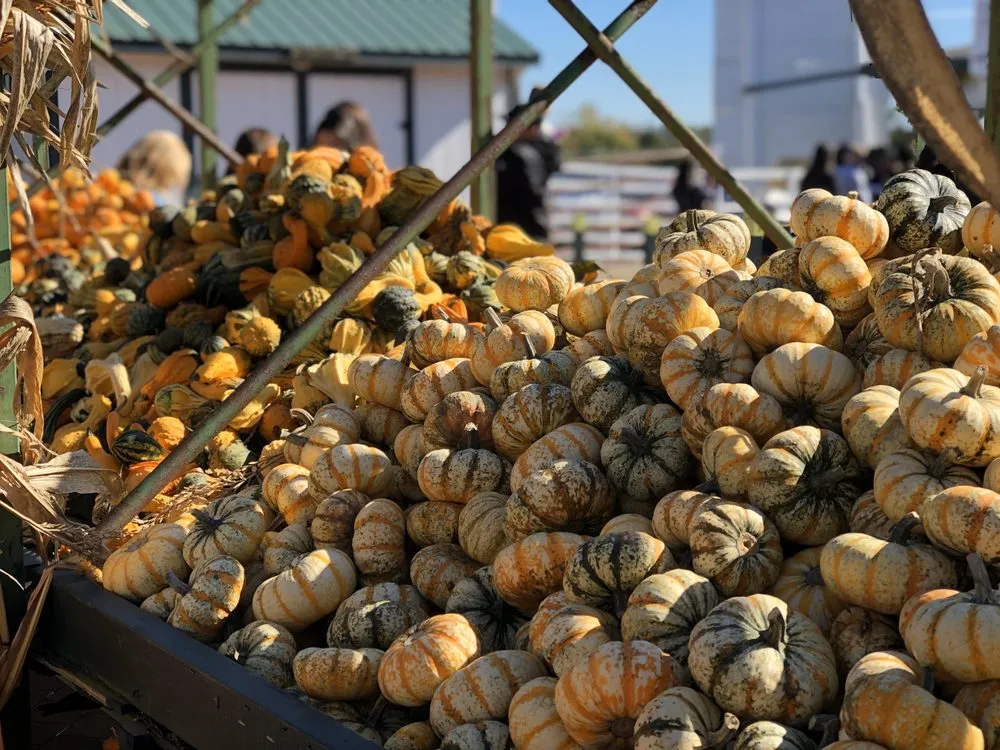 Trusted lawn care service for beautiful yards across Holmdel, NJ - A. Casola Farms