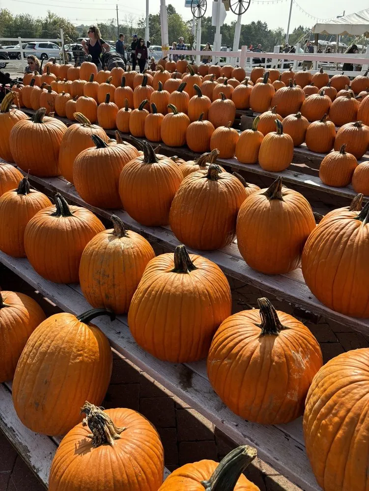 Affordable residential landscaping for homes in Holmdel, NJ by A. Casola Farms