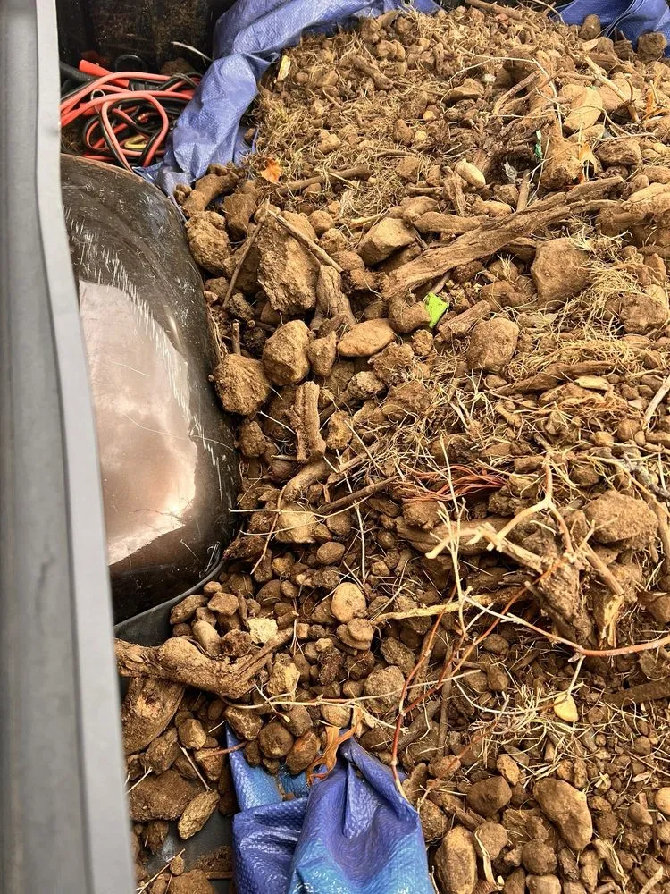 Professional lawn care service experts serving Holmdel, NJ - A. Casola Farms