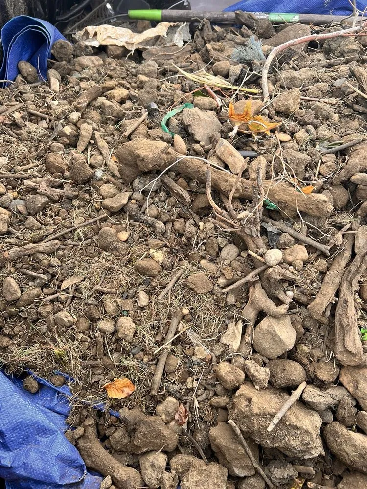 Custom landscaping services for residential properties across Holmdel, NJ - A. Casola Farms