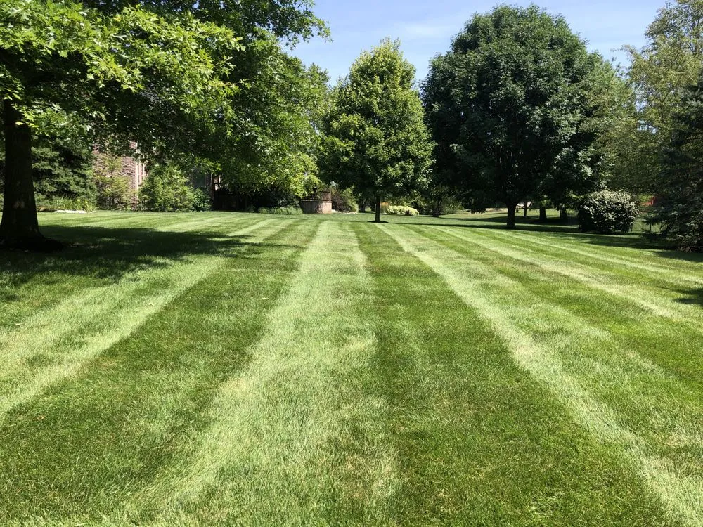 Reliable yard cleanup service for homes across McCordsville, IN - A Classic Cut Lawn & Landscape