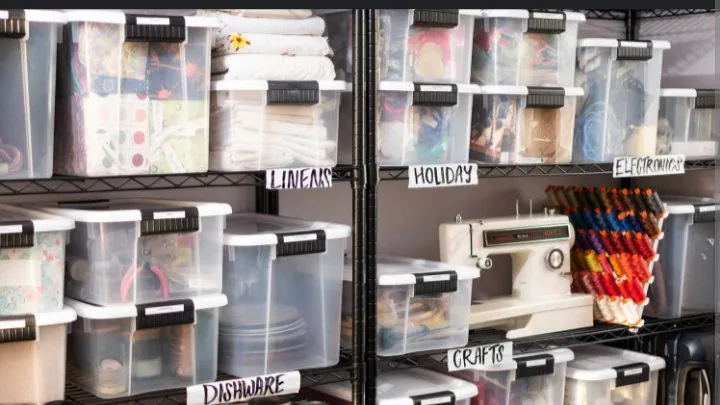 Top-rated landscaping services for residential properties in Paradise, CA by A Classier Clean