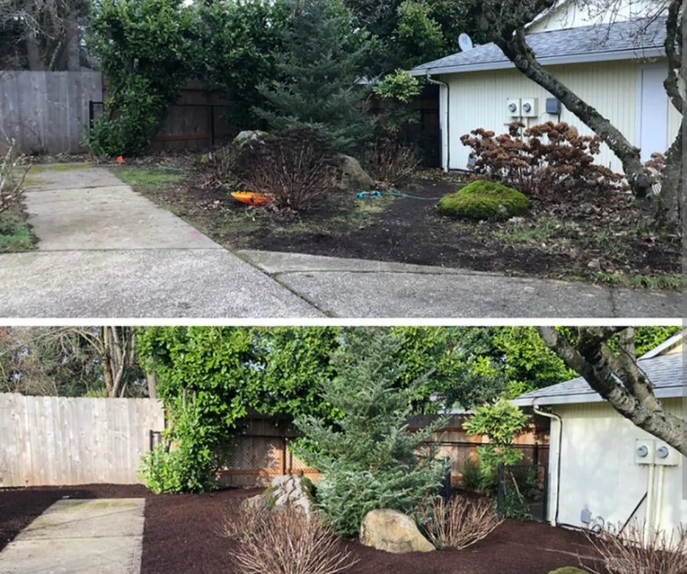 Professional landscape installation in Paradise, CA by A Classier Clean