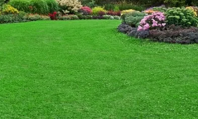 Local garden landscaping experts serving Viera, FL - A Clean Act Lawn Service