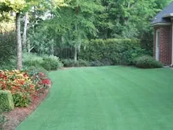 Affordable yard cleanup service in Viera, FL - A Clean Act Lawn Service