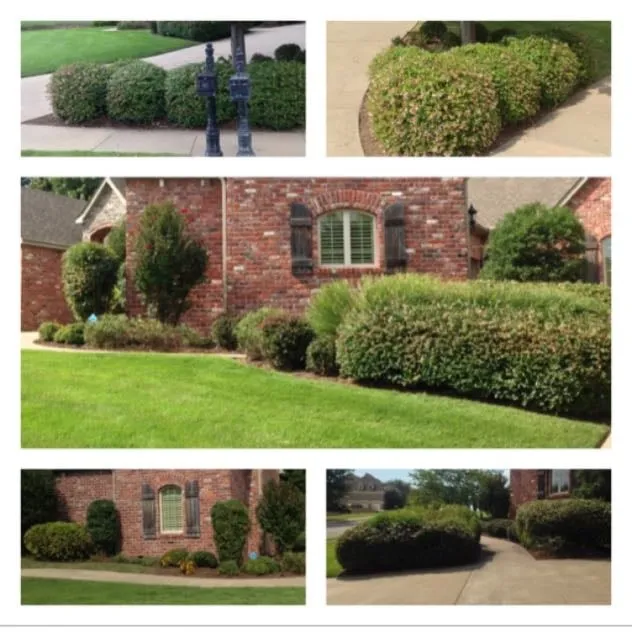Reliable lawn mowing service in Fayetteville, AR by A Clean Cut Lawn Care