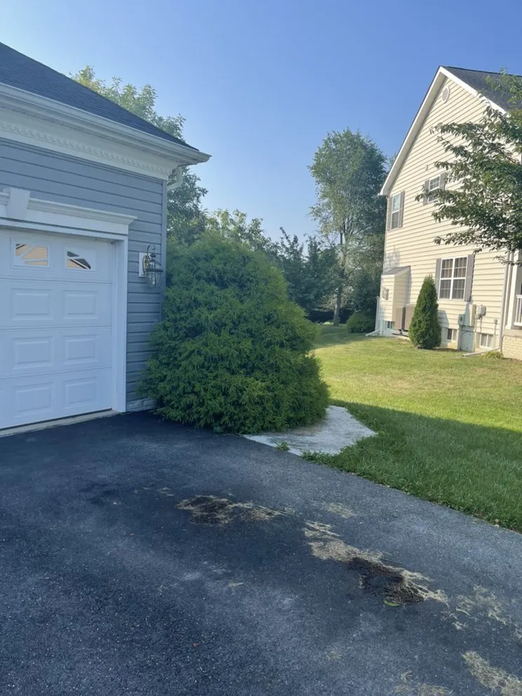 Affordable landscape design with custom design in Hedgesville, WV by A Clean Solution