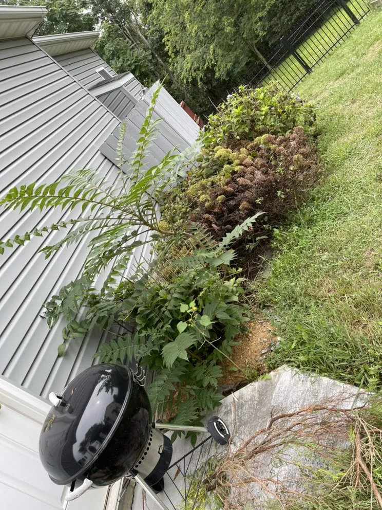Affordable lawn mowing service in Hedgesville, WV - A Clean Solution
