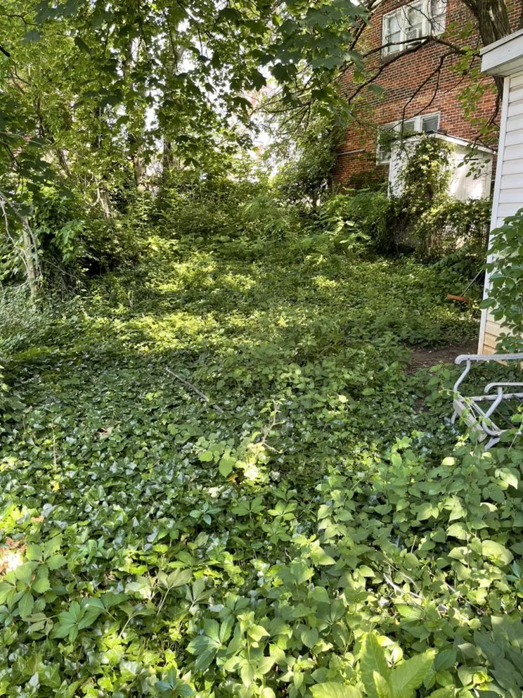 Custom landscaping services in Hedgesville, WV - A Clean Solution