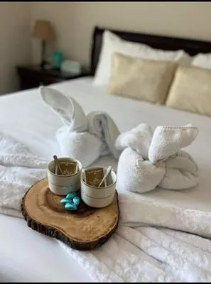 A+ Cleaning Services Logo