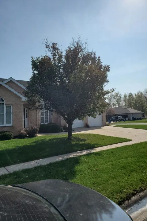 Professional yard cleanup service with custom design in Morris, IL by A Clubb Lawn Care & Landscaping