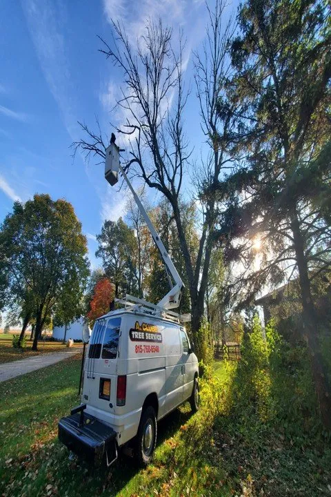 Professional landscaping services in Morris, IL - A Clubb Lawn Care & Landscaping