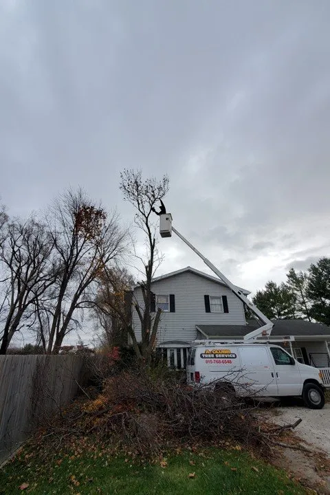 Reliable yard maintenance in Morris, IL by A Clubb Lawn Care & Landscaping