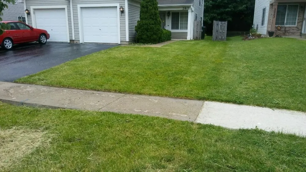 Professional landscaping services in Woodstock, IL - A Coat Over The top