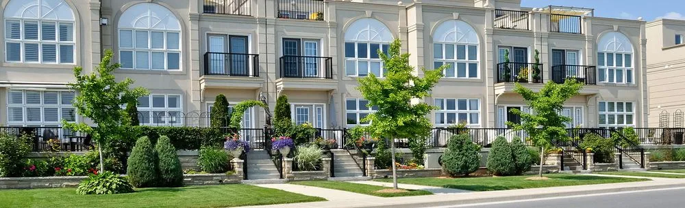 Reliable yard cleanup service in Winter Haven, FL - A-Colony Landscaping & Irrigation