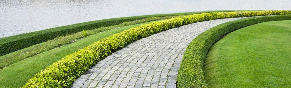 Custom landscape installation for outdoor upgrades in Winter Haven, FL by A-Colony Landscaping & Irrigation