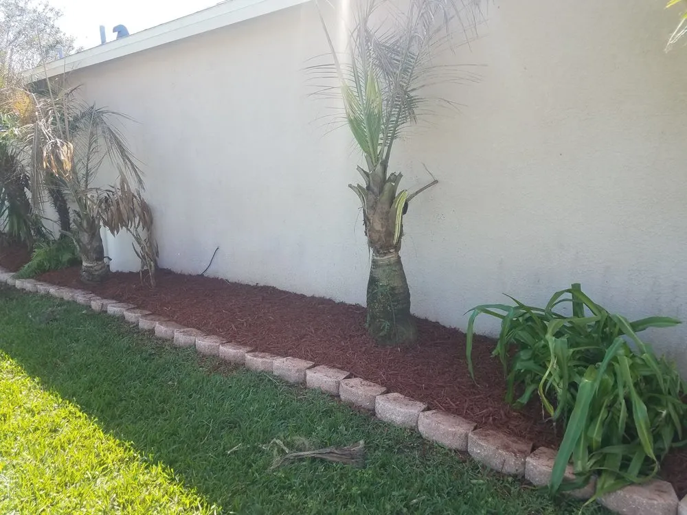 Trusted lawn mowing service in Wesley Chapel, FL - A Complete Lawn Care