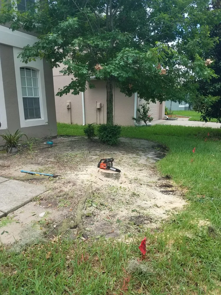 Trusted landscape installation in Wesley Chapel, FL - A Complete Lawn Care