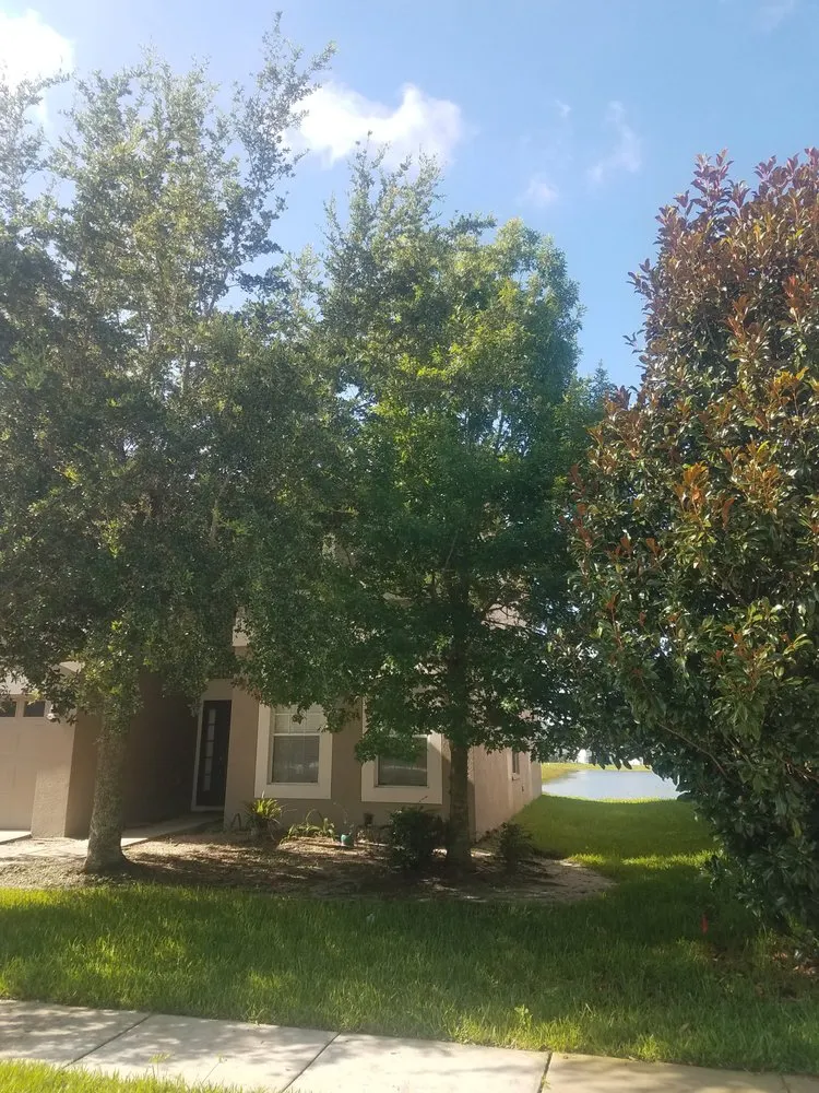 Affordable yard cleanup service for homes across Wesley Chapel, FL - A Complete Lawn Care