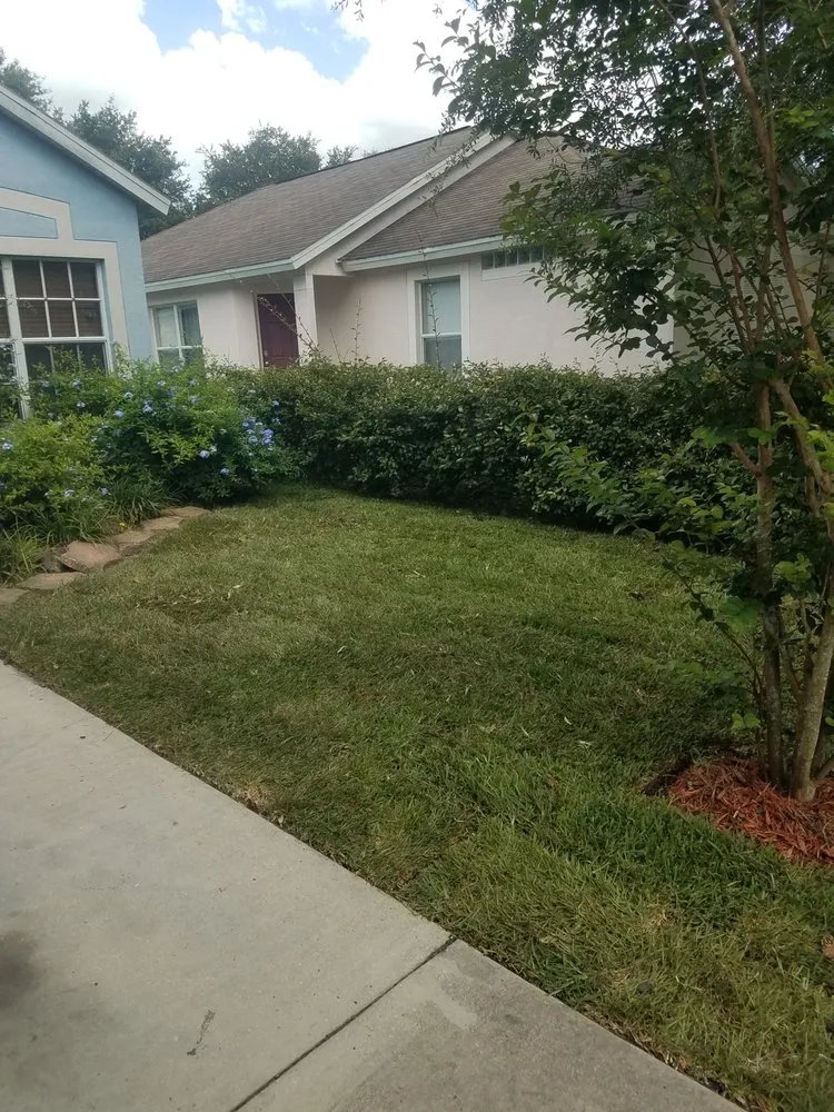 Expert landscape design experts serving Wesley Chapel, FL - A Complete Lawn Care