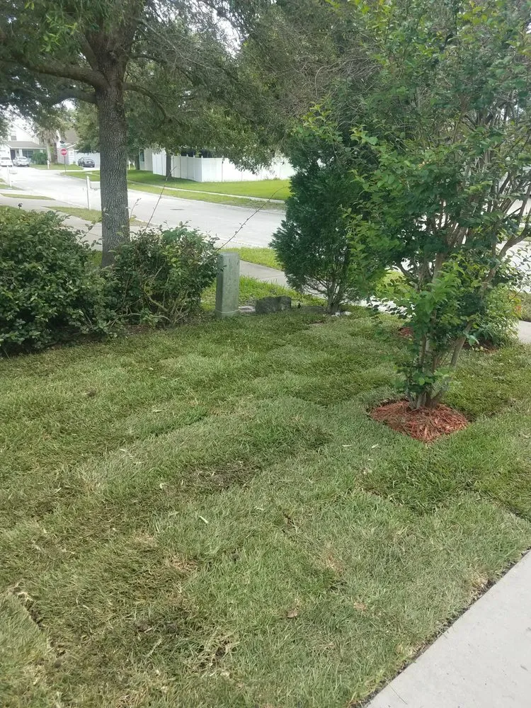 Reliable landscape installation for year-round maintenance in Wesley Chapel, FL by A Complete Lawn Care