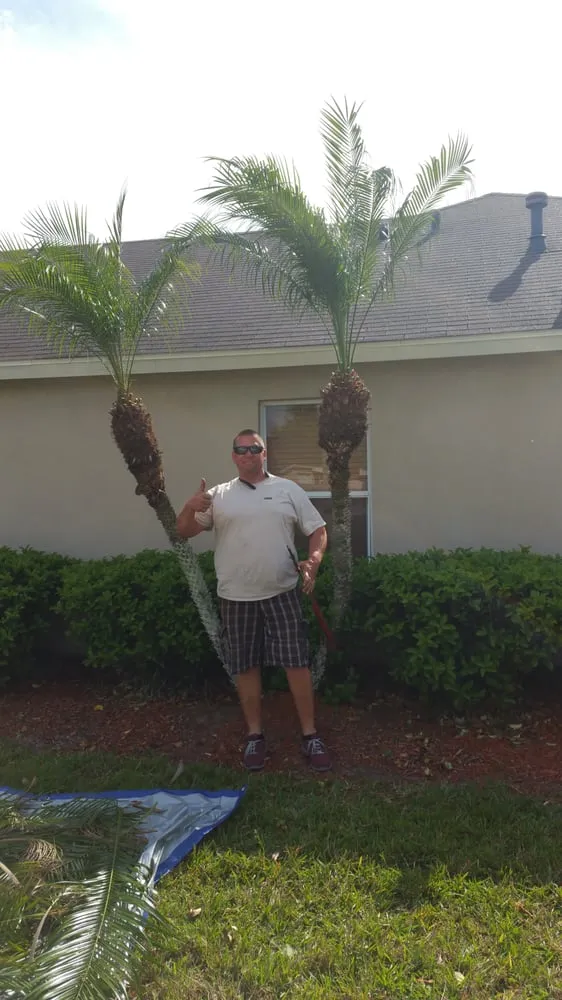 Affordable outdoor landscaping with custom design in Wesley Chapel, FL by A Complete Lawn Care