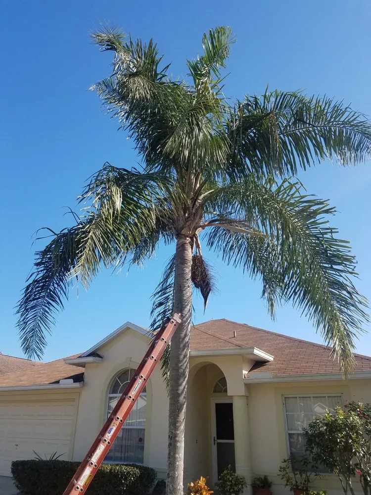 Local outdoor landscaping near you in Wesley Chapel, FL by A Complete Lawn Care