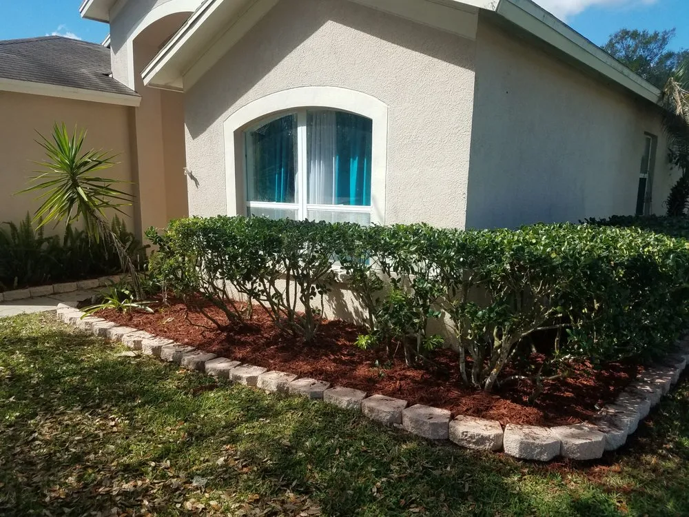 Reliable yard cleanup service experts serving Wesley Chapel, FL - A Complete Lawn Care