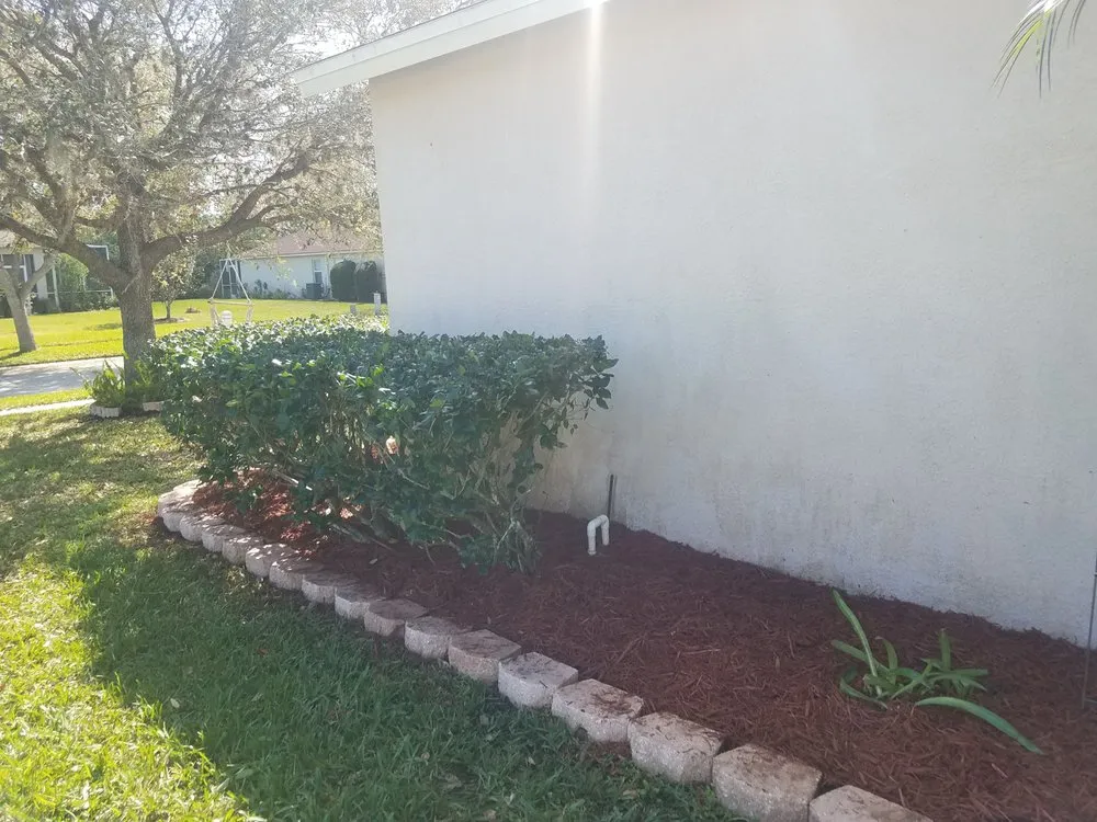 Expert lawn mowing service for beautiful yards across Wesley Chapel, FL - A Complete Lawn Care