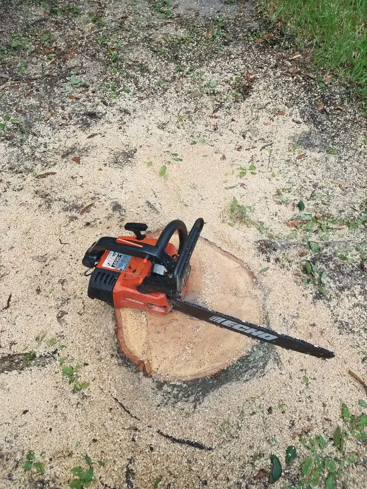 Local yard cleanup service in Wesley Chapel, FL by A Complete Lawn Care