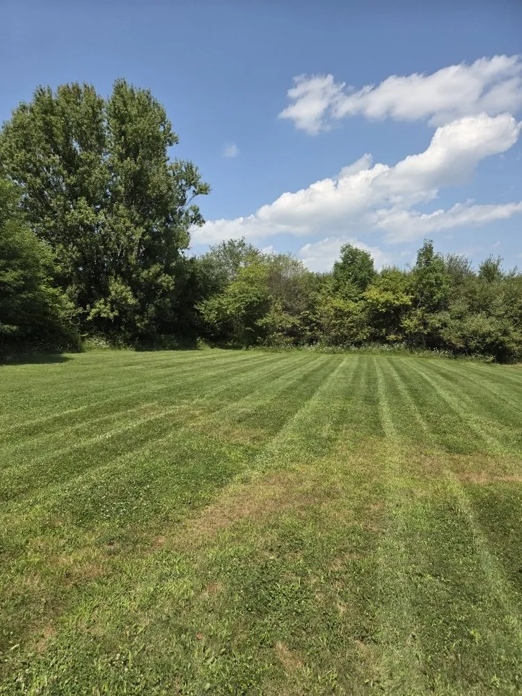 Local yard cleanup service experts serving Akron, OH - A Criss Landscaping