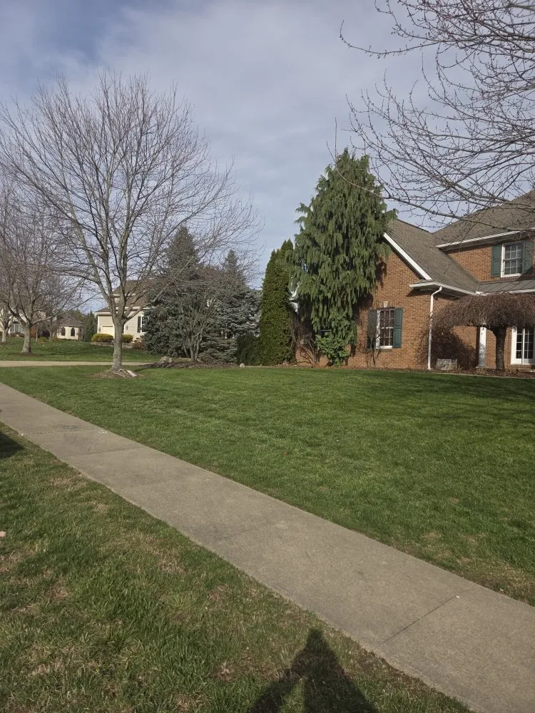 Affordable yard cleanup service in Akron, OH - A Criss Landscaping