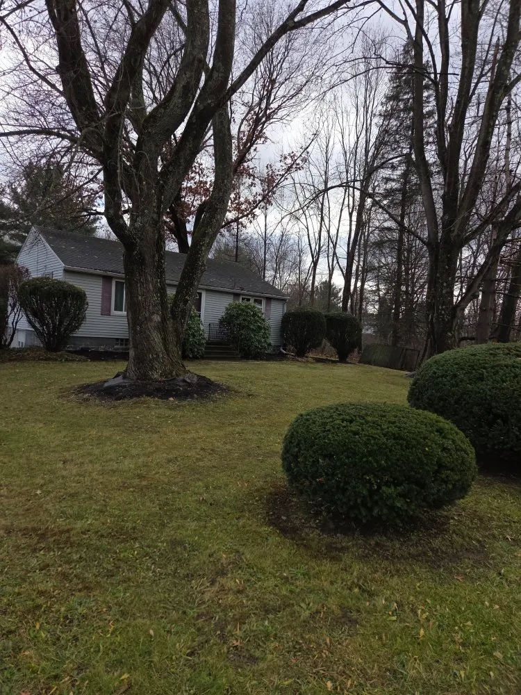 Affordable landscape design near you across Akron, OH - A Criss Landscaping