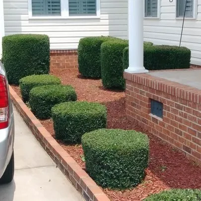 Trusted lawn mowing service for homes across Oakway, SC - A Cut & Care Lawn Service
