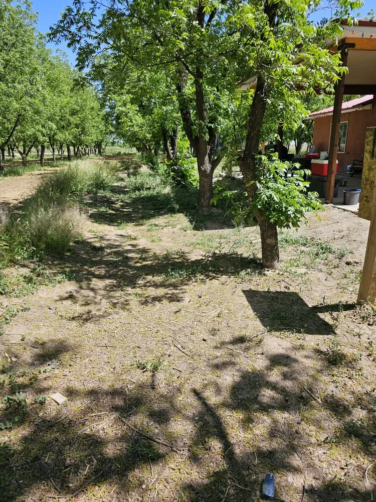 Professional landscaping services for homes across Las Cruces, NM - A Cut Above Competition