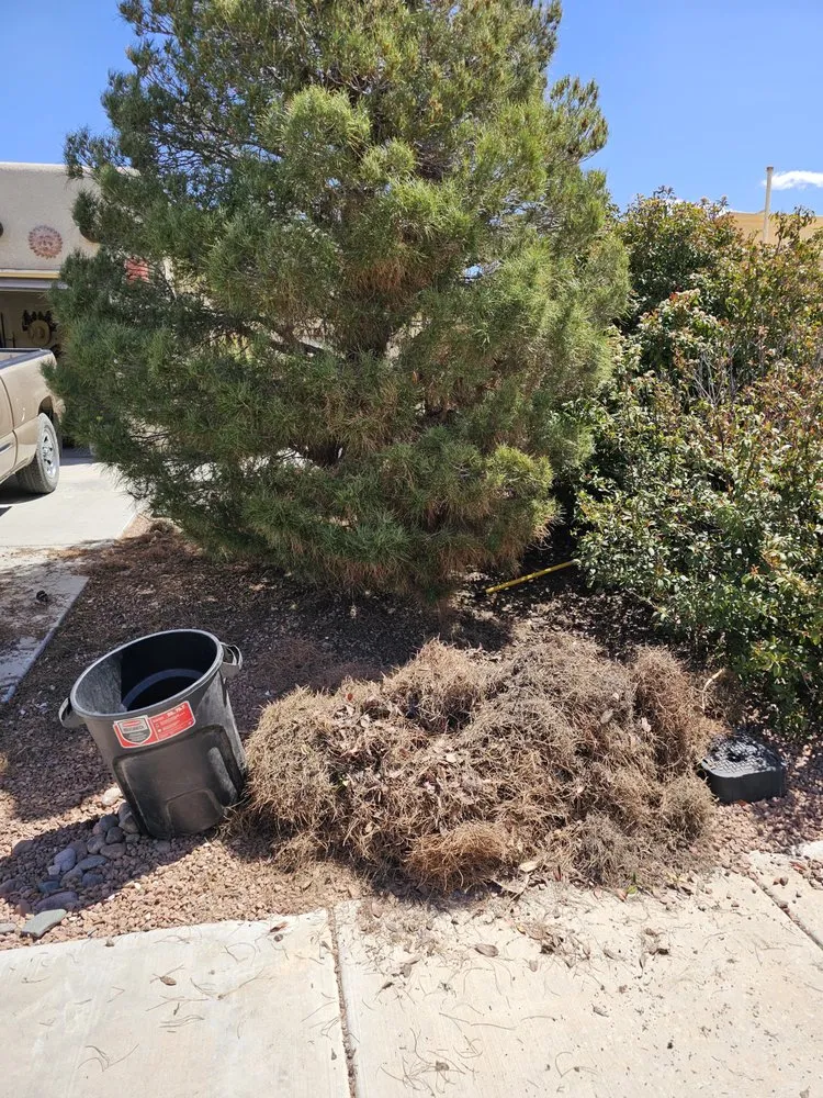 Expert lawn care service in Las Cruces, NM by A Cut Above Competition