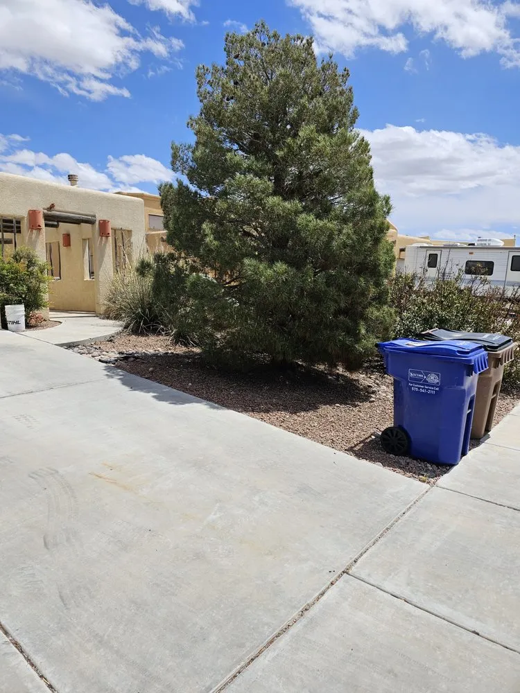 Trusted lawn care service experts serving Las Cruces, NM - A Cut Above Competition