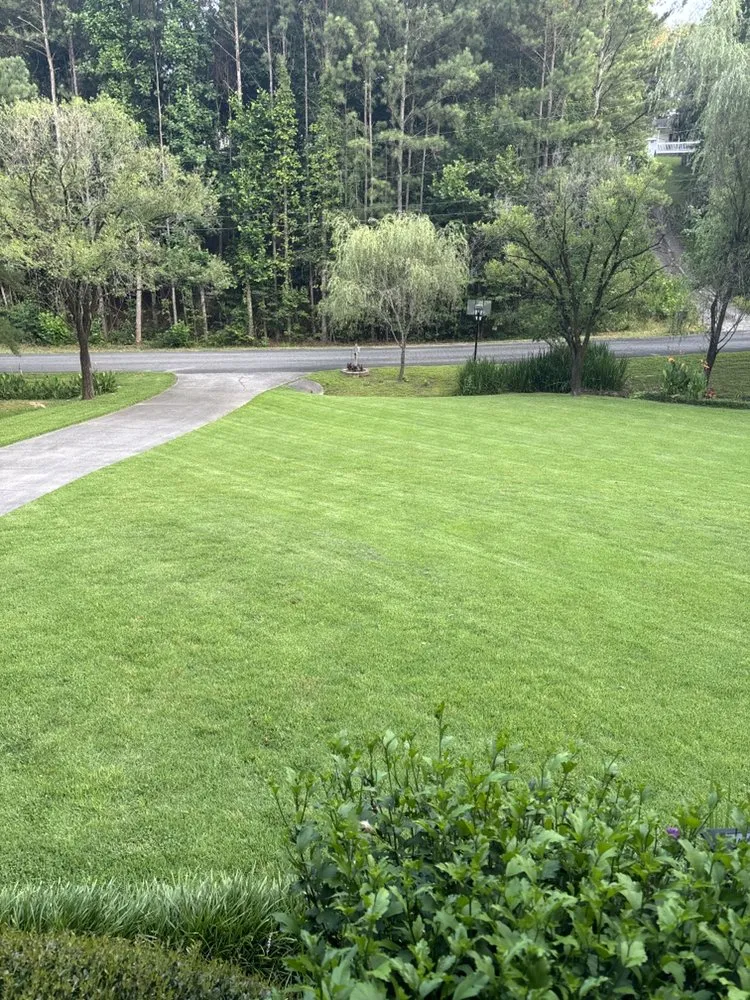 Local residential landscaping in Dalton, GA by A Cut Above