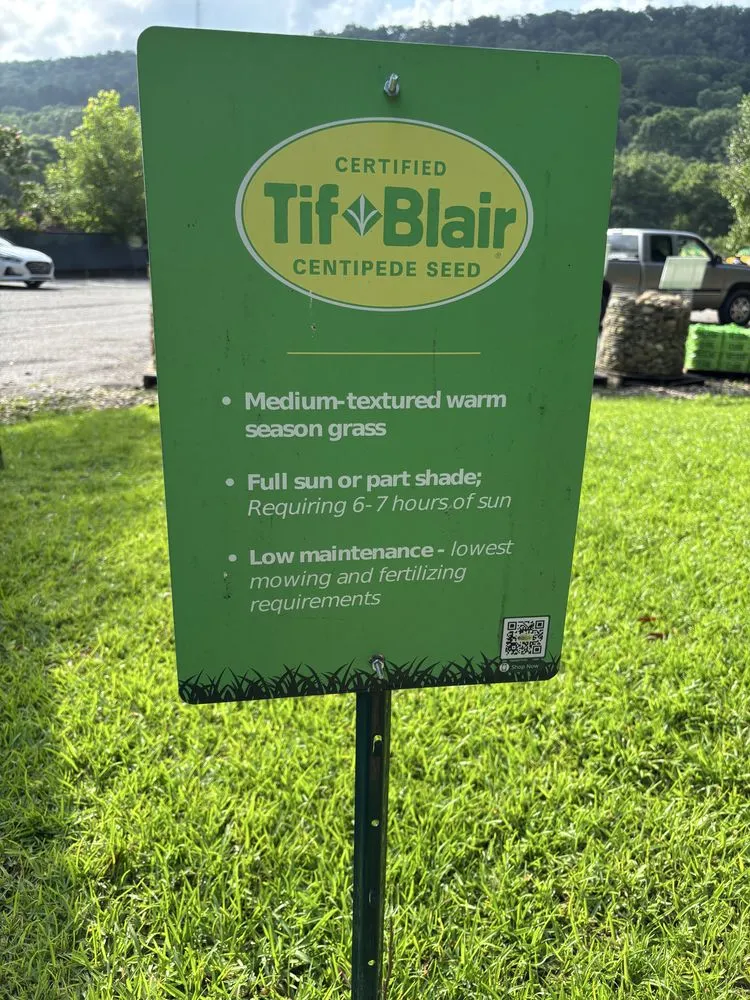 Trusted yard maintenance in Dalton, GA - A Cut Above