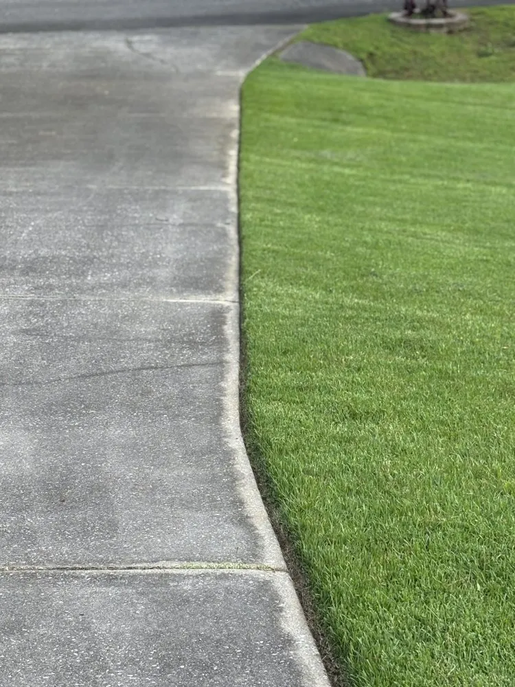 Professional landscaping services in Dalton, GA - A Cut Above