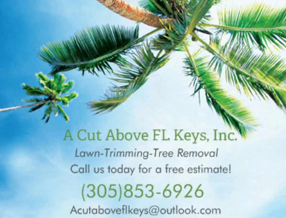 Trusted lawn mowing service for outdoor upgrades across Big Pine Key, FL - A Cut Above Fl Keys