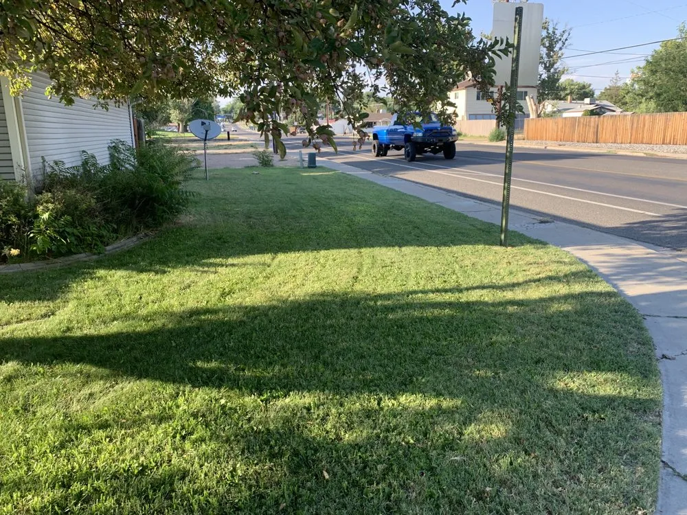 Professional landscape installation in Grand Junction, CO - A Cut Above